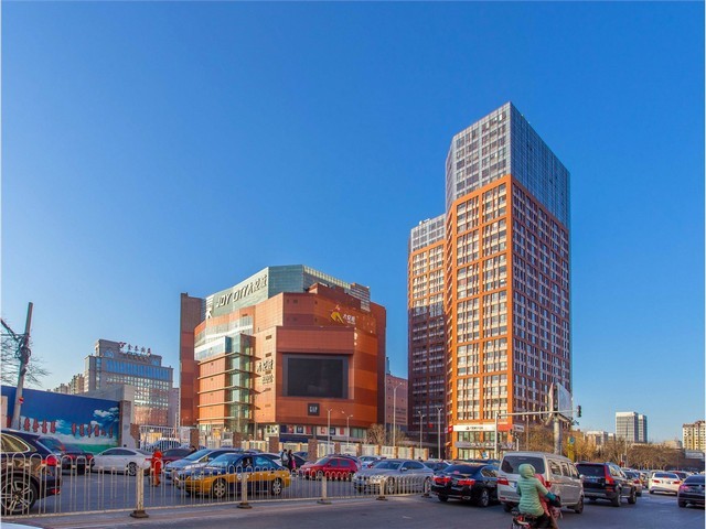 广东台式桌面摇床供应厂家